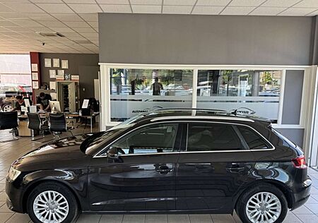 Audi A3 TDI Sportback Amb 1.Hand quattro T-Leder Navi