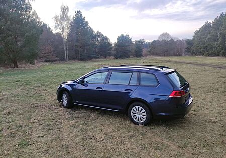 VW Golf Variant Volkswagen Golf+Variant+1.6+TDI+BlueMotion+Technology+DSG+Tre