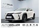 Lexus UX 250h Launch Edition *Navi*LED*PDC*SHZ*LMF*