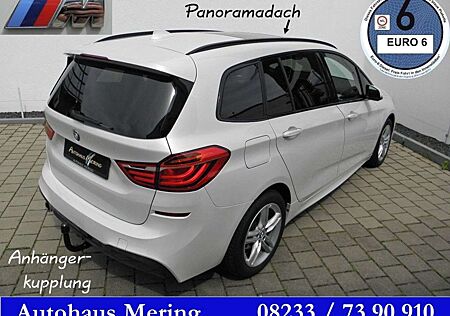 BMW 218iA 218 MAero+Sportp Reling Privacy Panorama AHK