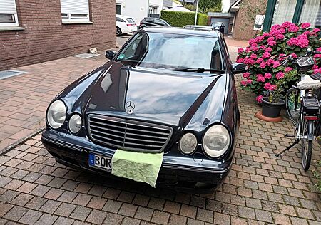 Mercedes-Benz 260 Avantgarde