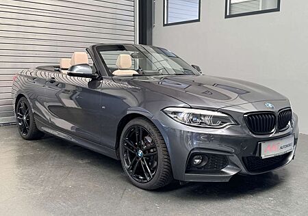 BMW 218 Baureihe 2 Cabrio d M Sport/Leder/Autom.
