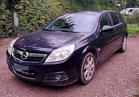 Opel Signum Edition