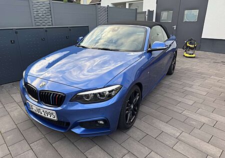 BMW 220 i Cabrio M Sport LED Navi 18" Alarm Hifi Speed PD