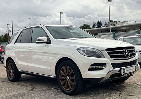 Mercedes-Benz ML 350 CDI BlueTec|Alcantara|AHK|St-Heizung