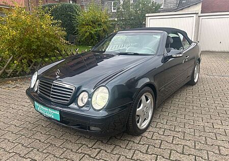 Mercedes-Benz CLK 320 gebraucht kaufen Mercedes-Benz CLK 320 AVANTGARDE AUT., LEDER, XENON *TÜV NEU*