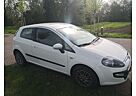 Fiat Punto EVO 1.2 8V MyLife,Start&Stopp,Klima,Navi,BT,Allufelgen