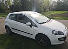 Fiat Punto EVO 1.2 8V MyLife,Start&Stopp,Klima,Navi,BT,Allufelgen