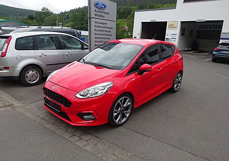 Ford Fiesta ST-Line Winterpaket