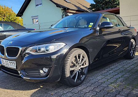 BMW 220 i Advantage 2.0 /VolllederTemp.XEN/6-Gang