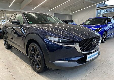 Mazda CX-30 gebraucht kaufen Mazda CX-30 2.0 Homura 150 AUTOMATIK NAVI KAM ALLWETTER