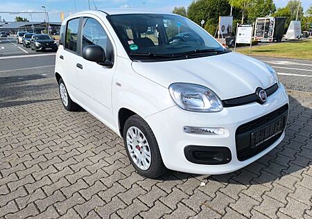 Fiat Panda Easy 20041 km