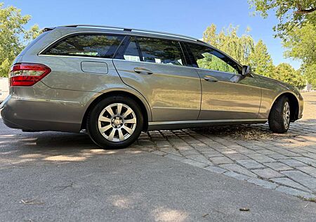 Mercedes-Benz E 250 E-Klasse T-Modell T BlueEFFICIENCY 7G-TRONIC Elega