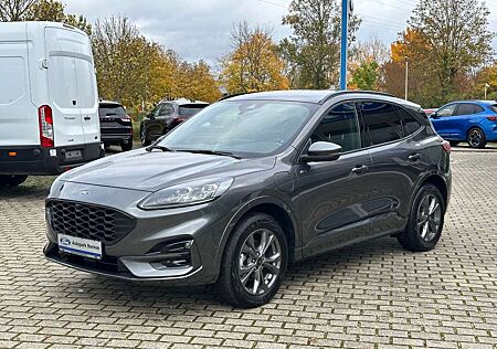 Ford Kuga Plug-In Hybrid ST-Line X AHK Winter-Paket