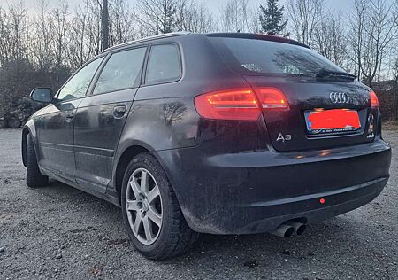 Audi A3 2.0 TDI DPF Ambiente