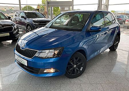 Skoda Fabia 1.2TSI Joy Navi SHZ EPH GRA+ Licht & Sicht Soundpa