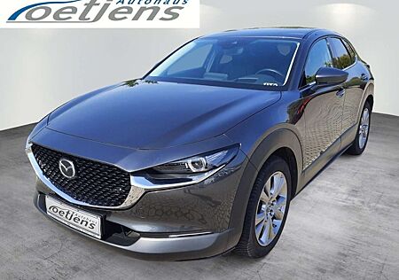 Mazda CX-30 Selection 122 PS Schalter Design-Paket Al