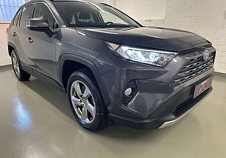 Toyota RAV 4 Hybrid 4x2 Team Deutschland + Technik+AHK