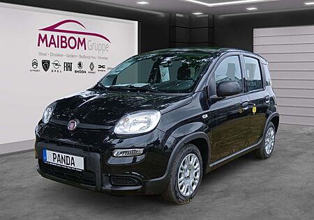 Fiat Panda Pandina 1.0 GSE
