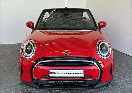 Mini Cooper Cabrio Aut. Navi.LED.Sportsz.RFK.Apple.