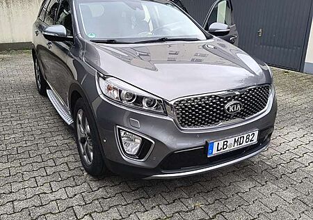 Kia Sorento 2.2 CRDi AWD Aut. Platinum Edition