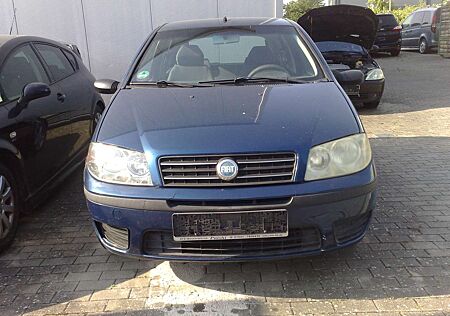 Fiat Punto 1.2 8V Active Clima