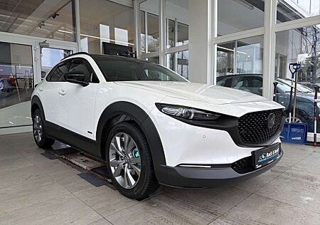 Mazda CX-30 Selection 2.0i*AUTOMATIK,BOSE,360GRAD,MATRIX*