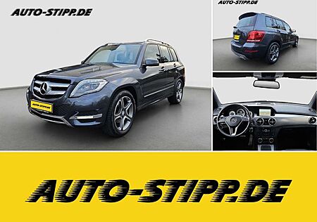 Mercedes-Benz GLK 220 gebraucht kaufen Mercedes-Benz GLK 220 CDI 4Matic NAVI SPURH BLIS TEMP RFK AHK