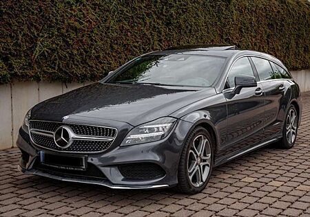 Mercedes-Benz CLS 350 BlueTec / d 4Matic (218.994)