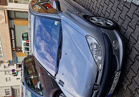 Peugeot 206 110 Platinum