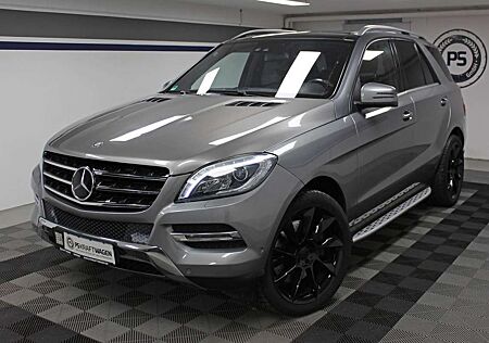 Mercedes-Benz ML 500 AMG DISTRONIC AHK KAMERA PANO *LORINSER*