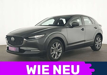 Mazda CX-30 ACC|Head-UP|LED|BOSE|Navi|Premium-Paket