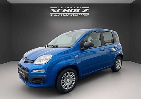 Fiat Panda MY25 Pandina ICON Hybrid 1.0 GSE 51kw 70PS