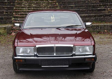 Jaguar Daimler XJ40 mit 2 Jahren Garantie
