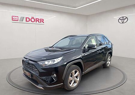 Toyota RAV 4 2.5 4x2 Hybrid Team Deutschland Technik Paket