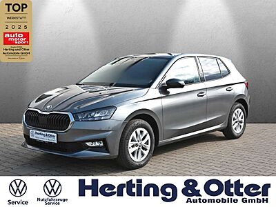 Skoda Fabia Apple CarPlay LED Klima PDC Multif.Lenkrad Spurhal