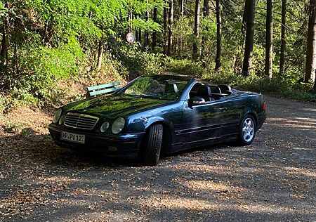 Mercedes-Benz CLK 230 CLK-Klasse Cabrio Kompressor Avantgarde