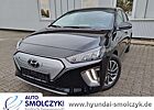 Hyundai Ioniq 38,3 kWh Elektro STYLE PDC+NAVI+STZHZG.+BT