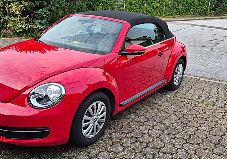 VW New Beetle Volkswagen Cabrio - Limousine