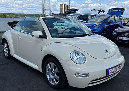 VW New Beetle Volkswagen 1.6 Cabriolet Highline Leder Klima
