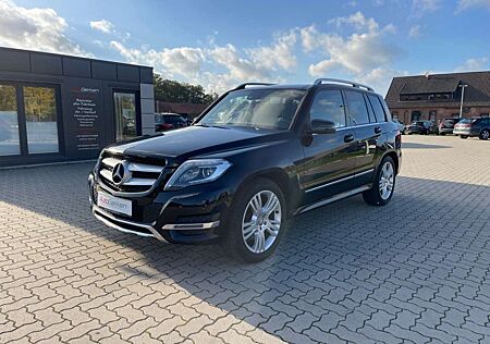 Mercedes-Benz GLK 220 CDI BlueEfficiency 4Matic 2HD ILS AHK