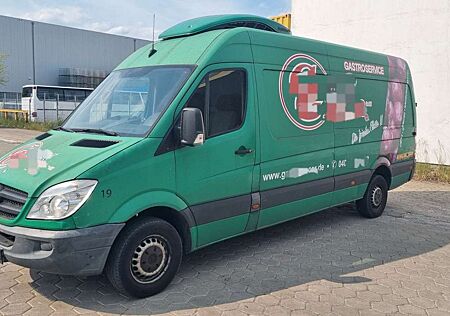 Mercedes-Benz Sprinter II Kasten 313 CDI Kühlwagen
