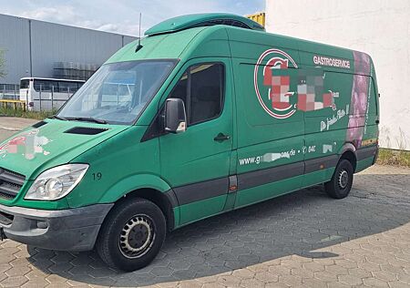 Mercedes-Benz Sprinter II Kasten 313 CDI Kühlwagen