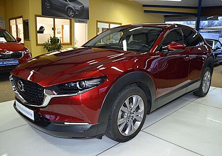 Mazda CX-30 Selection 2WD XENON / NAVI / R-KAMERA /PDC