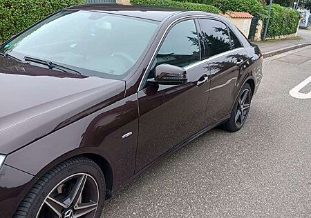 Mercedes-Benz E 220 CDI DPF BlueEFFICIENCY 7G-TRONIC