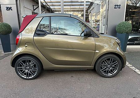 Smart ForTwo Cabrio Old English Pewter 22Tkm Leder Nappa