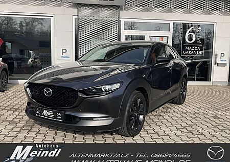 Mazda CX-30 2.0L e-SKYACTIV G 150ps Nagisa Nagisa, LED, AHK, M