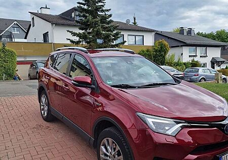 Toyota RAV4 2.5 4x4 Hybrid Team Deutschland