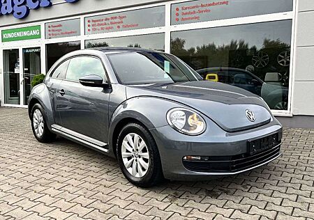 VW Beetle Volkswagen Navi PDC Klima Tempomat
