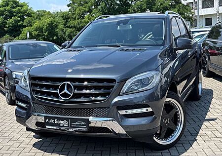 Mercedes-Benz ML 250 CDI BlueTEC*Kamera*Bi-Xenon*Sport*20Zoll*